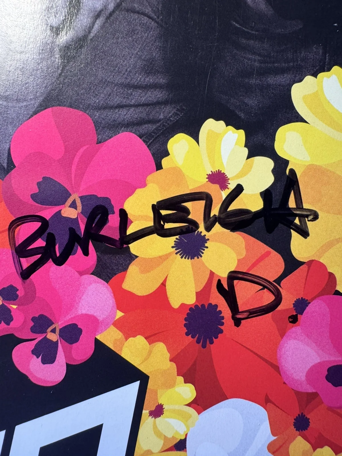 Rare OK Go Signed Promo Poster - 5 autographs Full Band+ Early 2000s Era, image 5