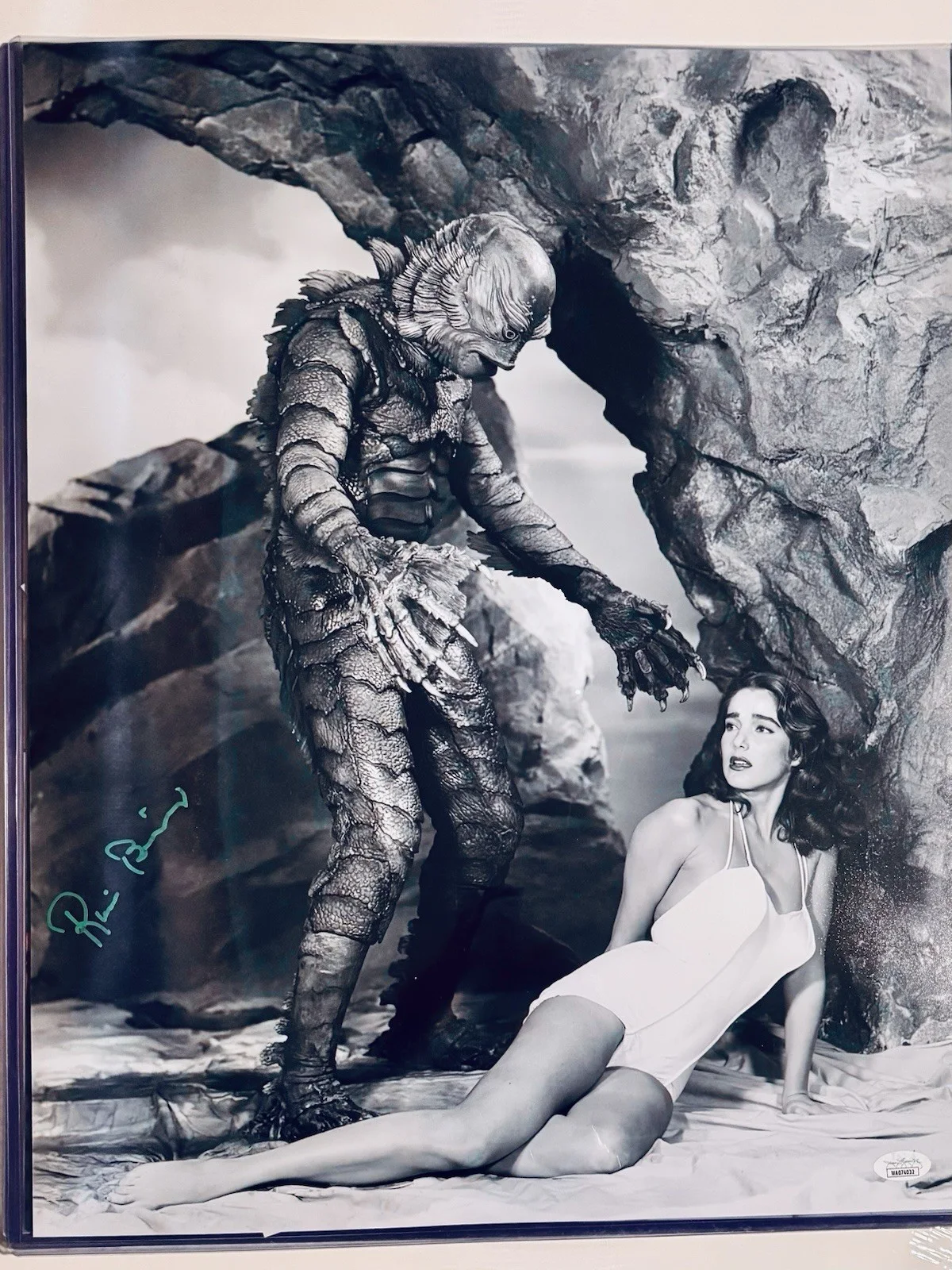 Ricou Browning Signed B/W 16x20 JSA, image 3