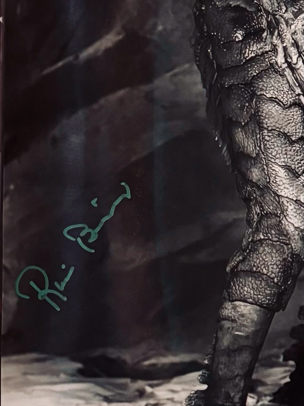 Ricou Browning Signed B/W 16x20 JSA, image 4