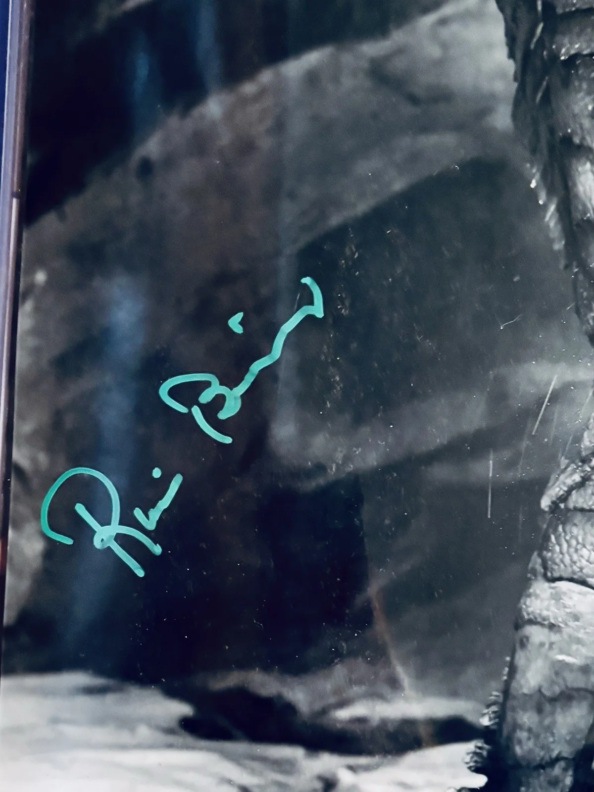 Ricou Browning Signed B/W 16x20 JSA, image 5