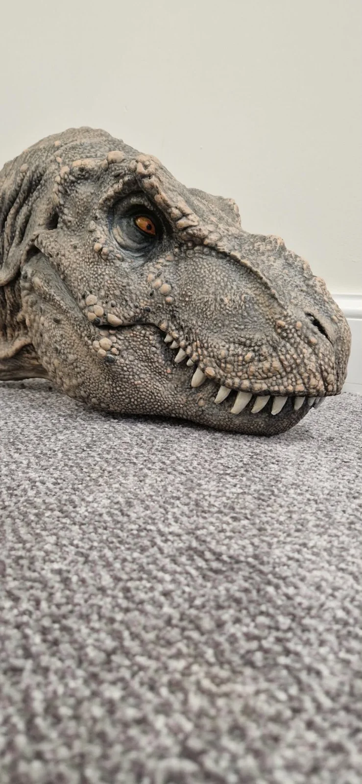 life size bust t-rex 1:5 scale t-rex prop jurassic park.....l@@k, image 4