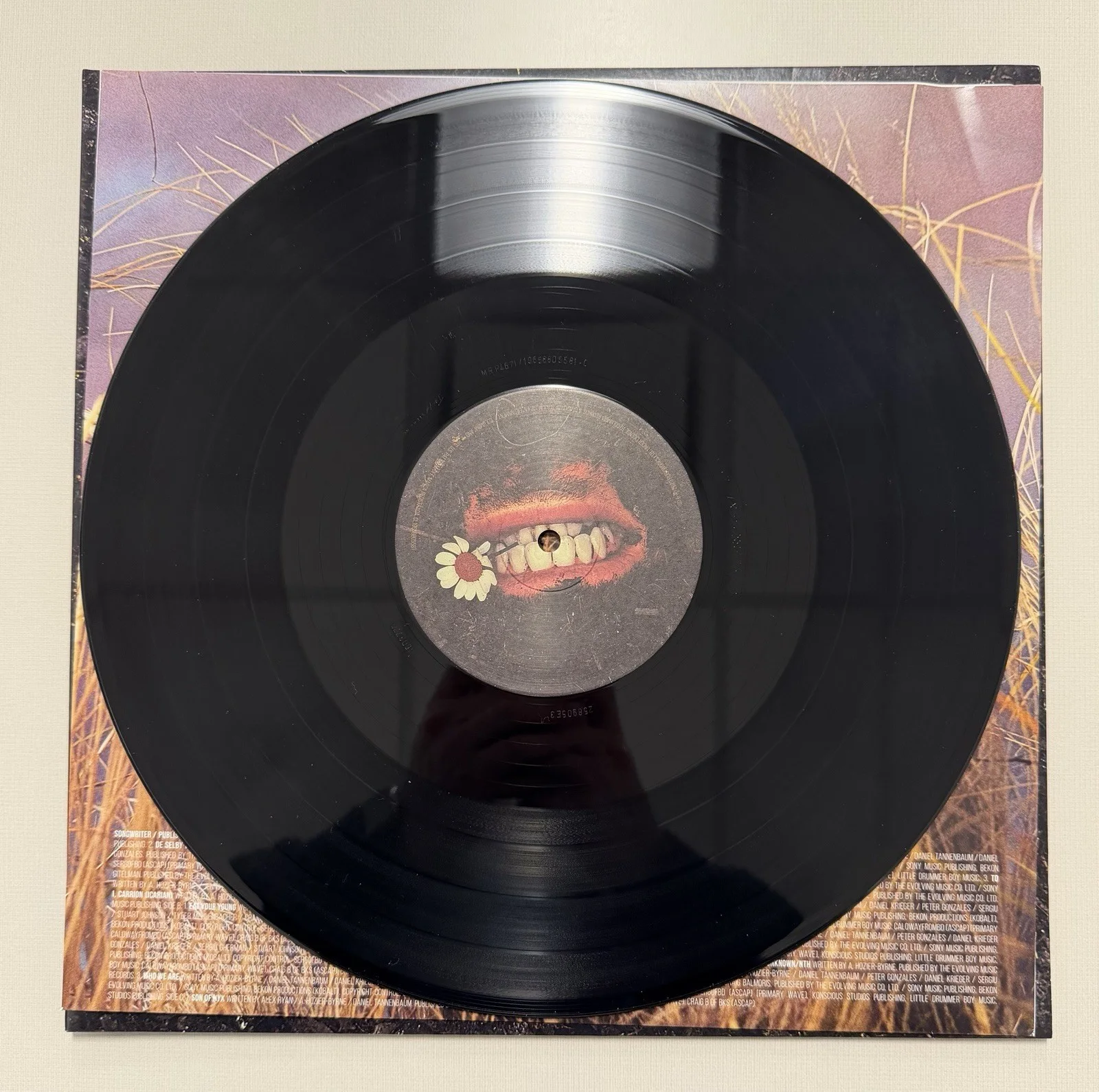 Hozier SIGNED "Unreal Unearth" Vinyl Album Autographed LP Record *On Sleeve*, image 5
