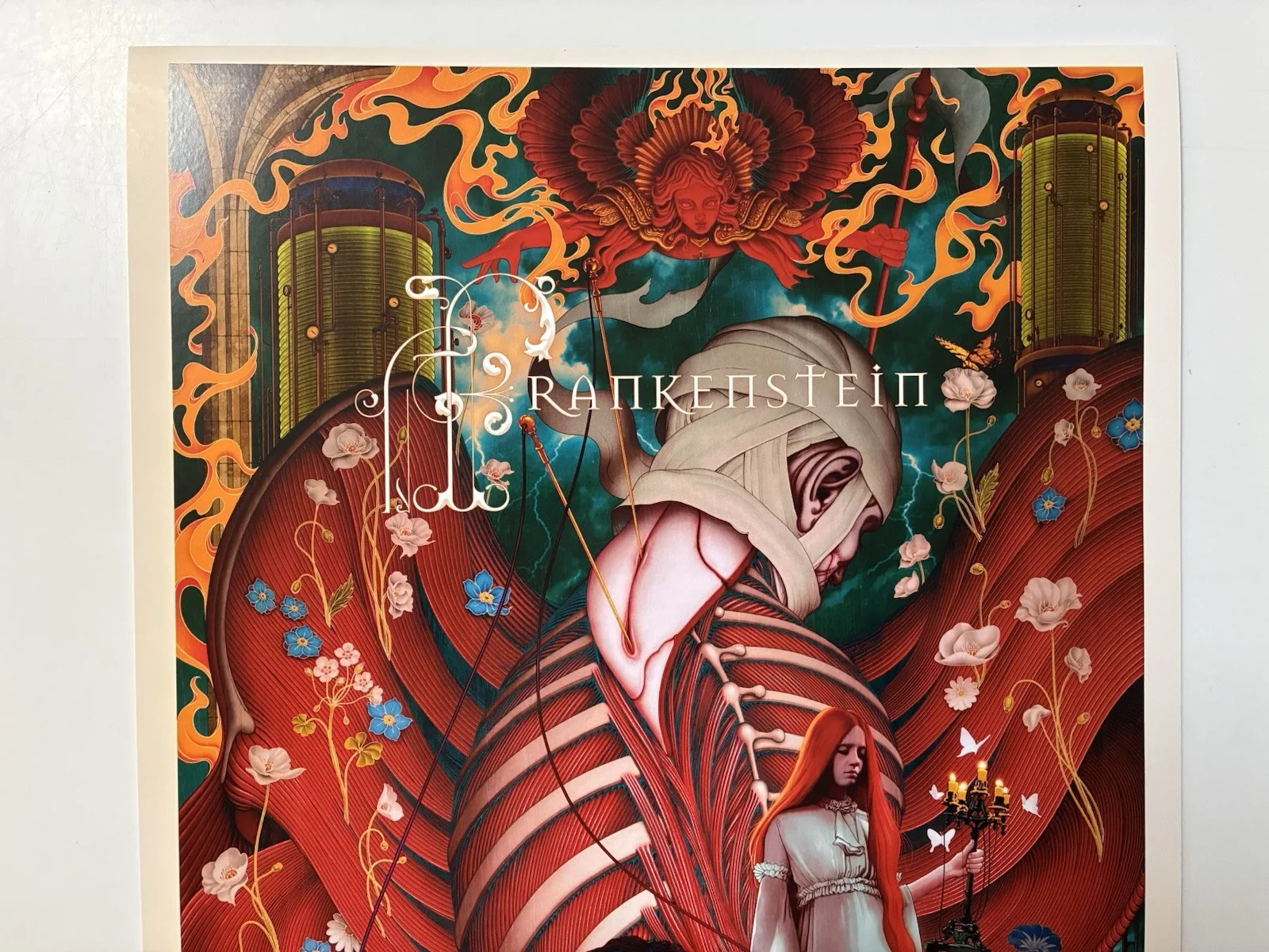RARE GUILLERMO DEL TORO'S FRANKENSTEIN IMAX POSTER BY JAMES JEAN 17.25" X 12.25", изображение 2