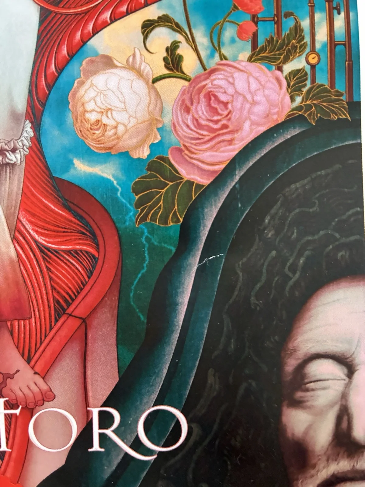 RARE GUILLERMO DEL TORO'S FRANKENSTEIN IMAX POSTER BY JAMES JEAN 17.25" X 12.25", изображение 5