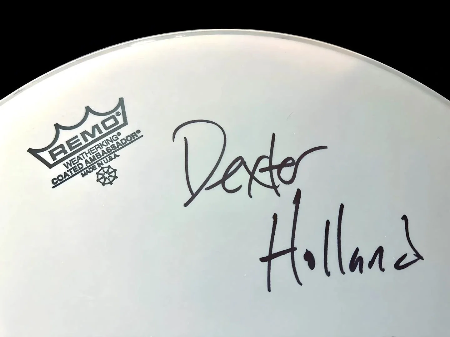 THE OFFSPRING SIGNED Drumhead AUTOGRAPHED By Dexter Holland, Noodles, Todd, Pete, изображение 2