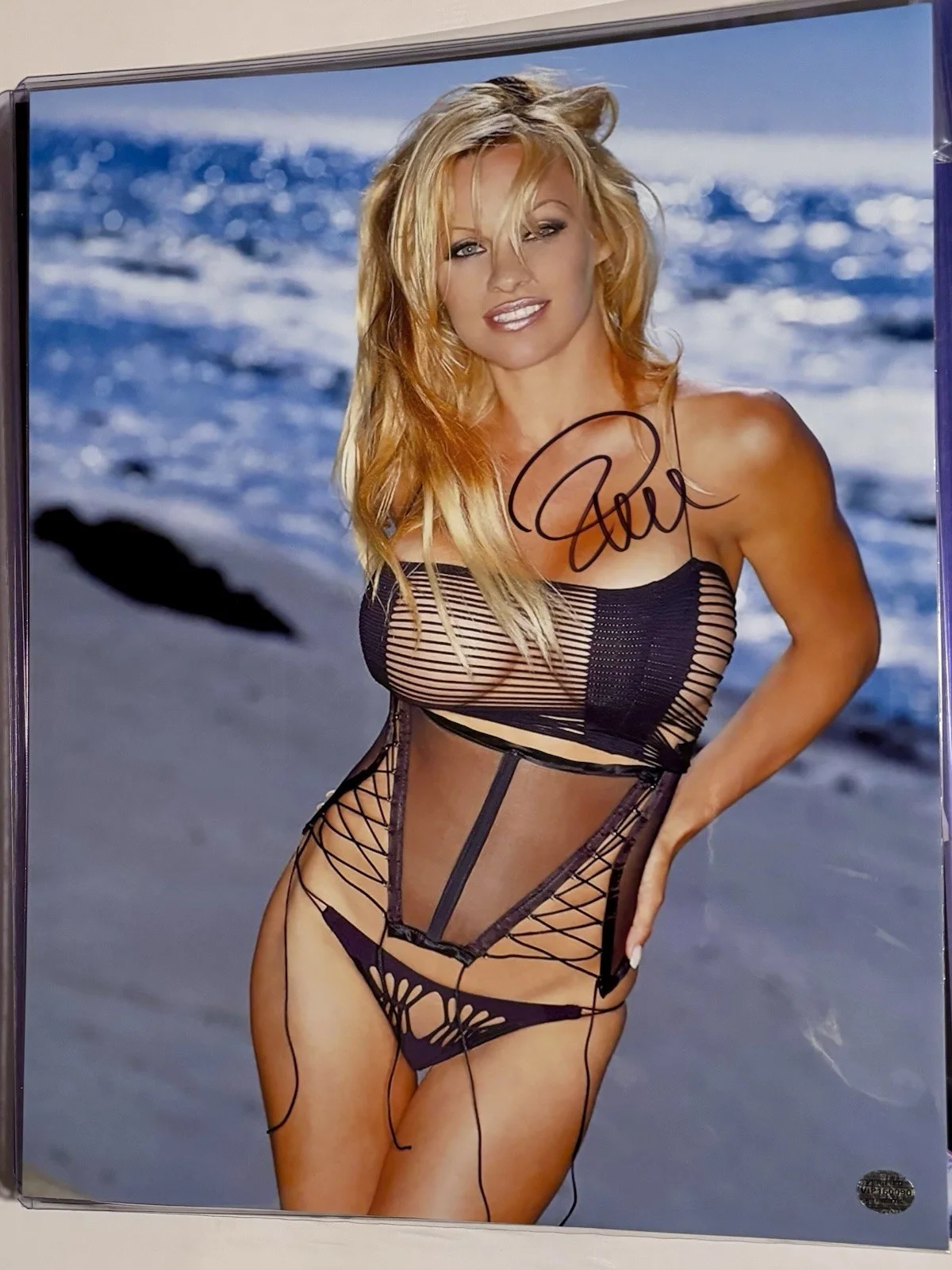 Pamela Anderson Signed 11x14 Coa Vip, image 4