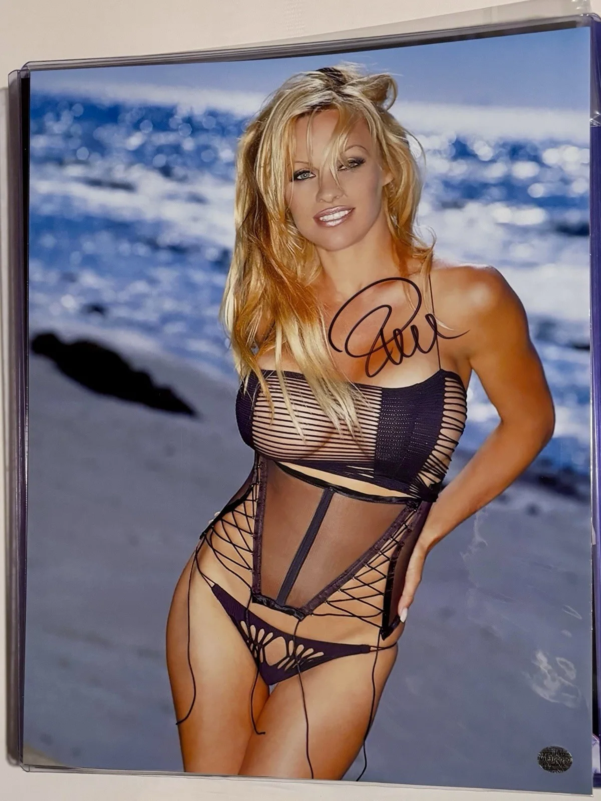 Pamela Anderson Signed 11x14 Coa Vip, image 5