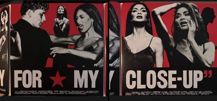 Nicole Scherzinger Sunset Blvd , Signed Autographed Lp vinyl LE. READ Listing, image 2