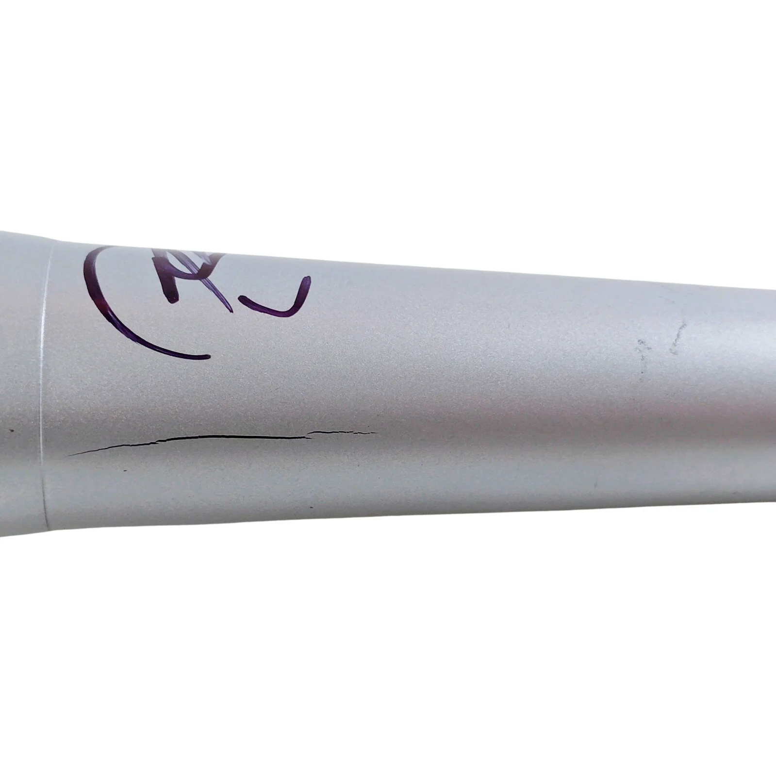 RaeLynn Signed Microphone Proof Photo Authentic Country Music Autograph Mic, изображение 5