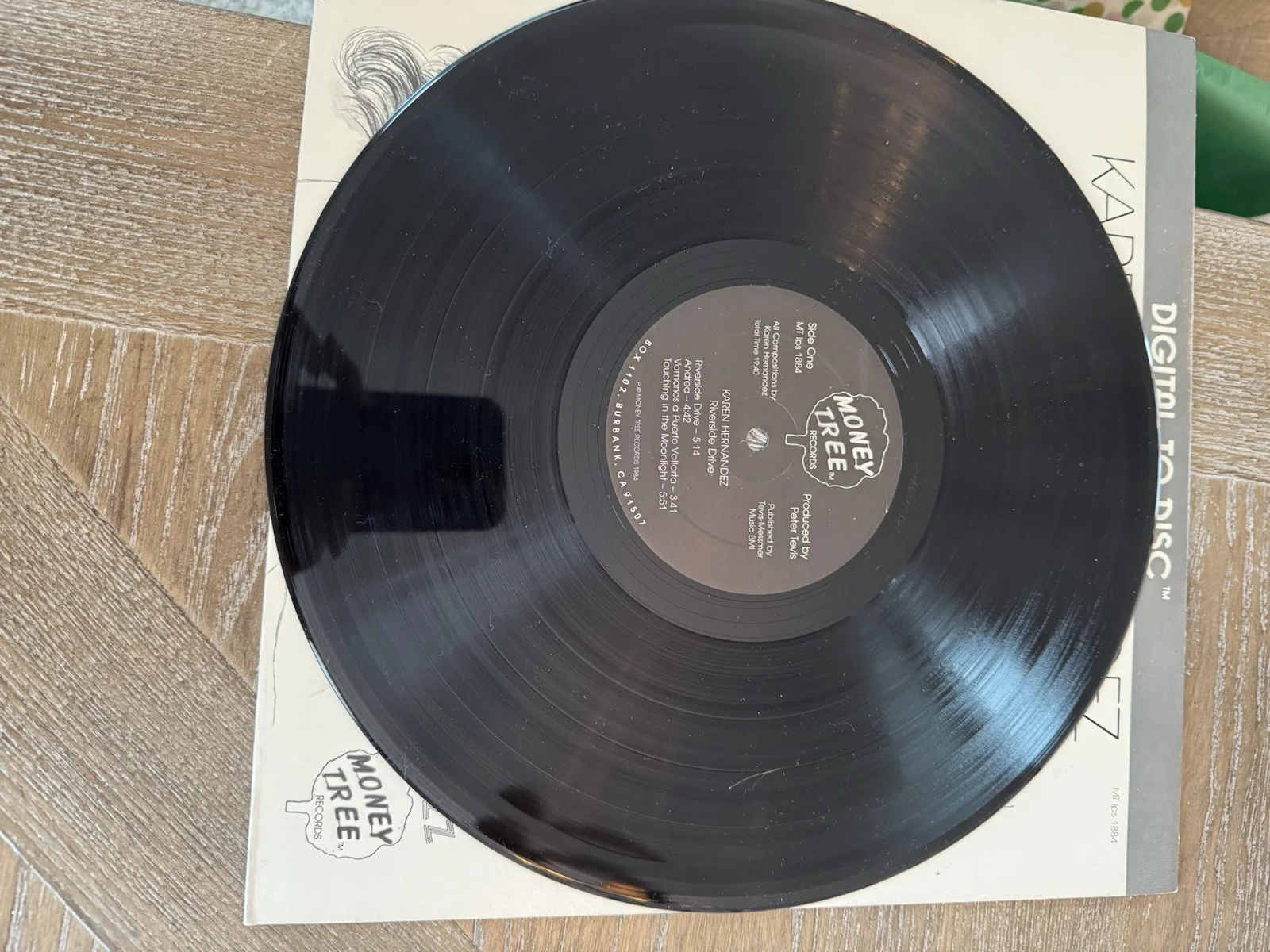 Autographed Vinyl Album Karen Hernandez Riverside Drive, image 5