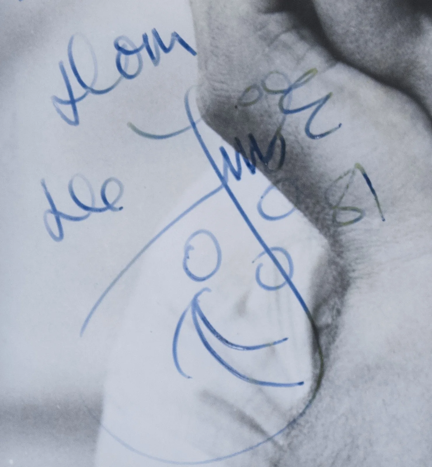 Dom Deluise — DOM DELUISE - AUTOGRAPHED INSCRIBED PHOTOGRAPH, image 3
