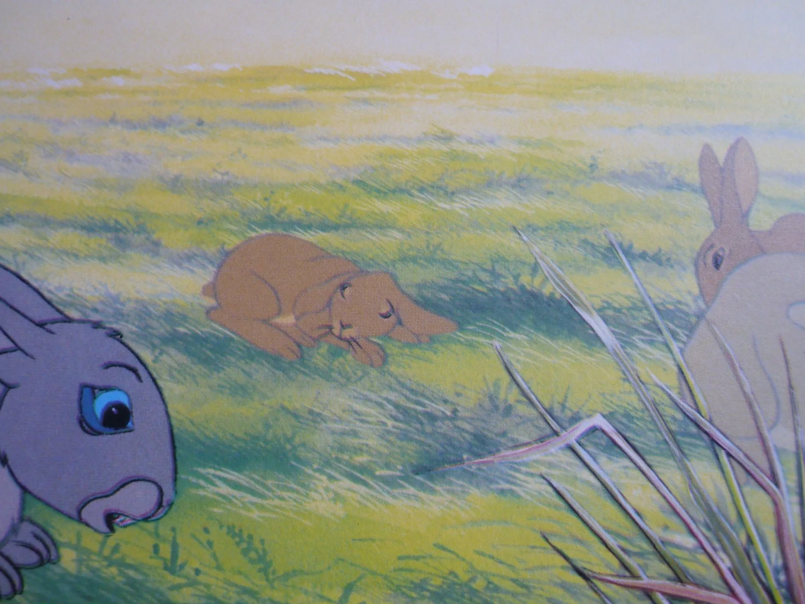 Watership Down framed a4 Richard Adams 1978 Movie scenes rabbits silflay, image 2