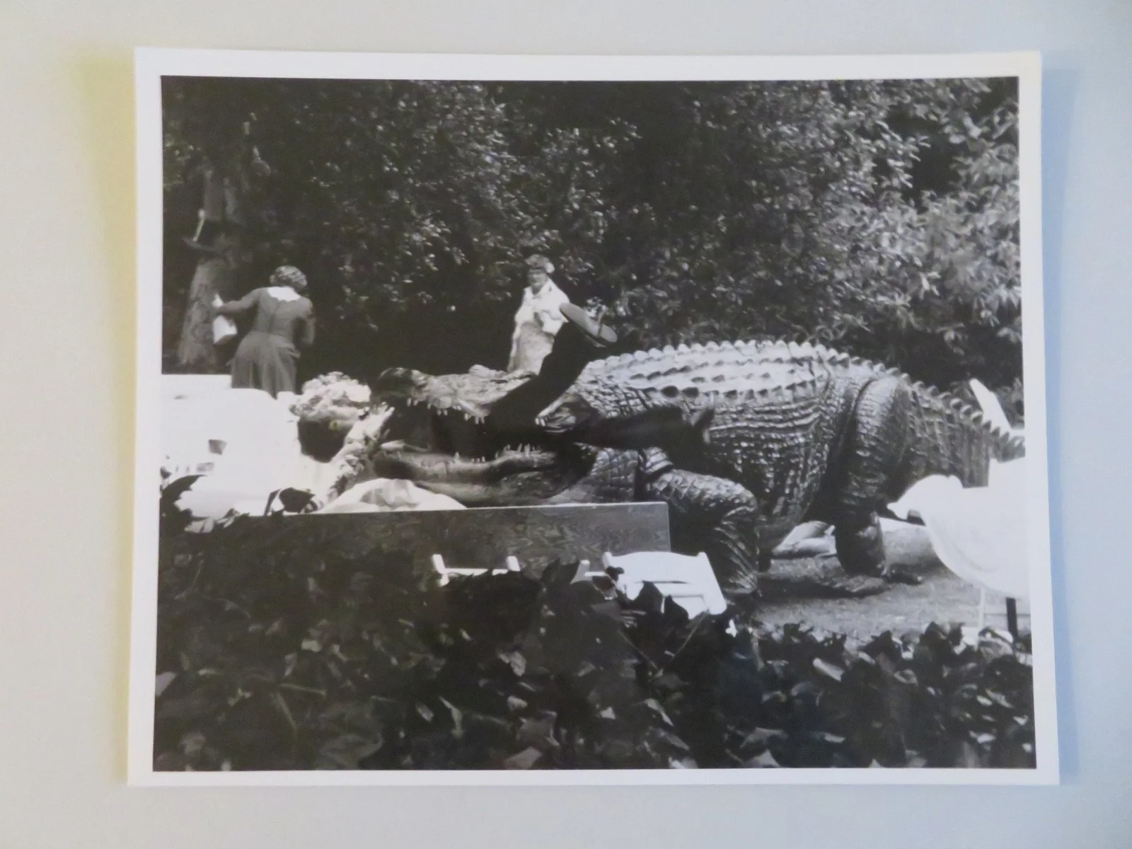 ALLIGATOR MOVIE STILL PHOTO LOT OF 3 ROBERT FORSTER ROBIN RIKER 1980, изображение 3