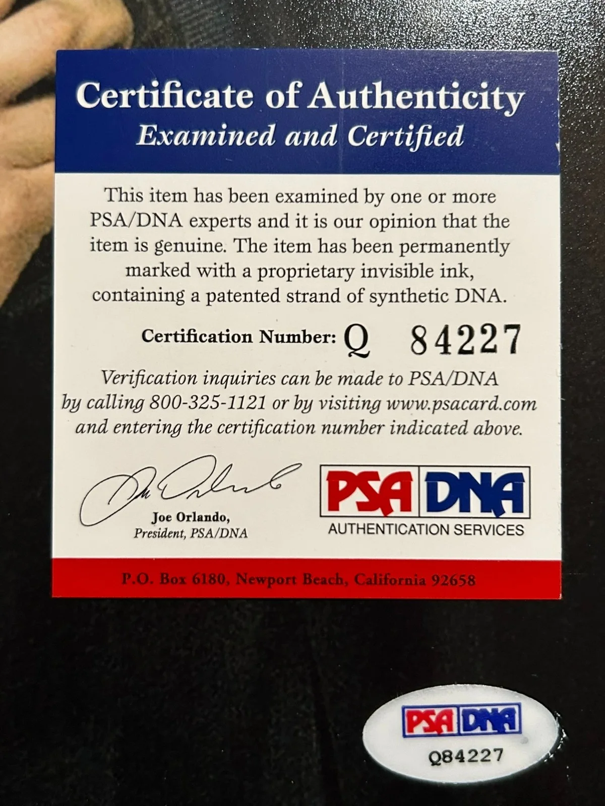 Julian Sands — PSA/DNA JULIAN SANDS AUTOGRAPHED 8x10 PHOTO SIGNED AUTO DECEASED, image 4