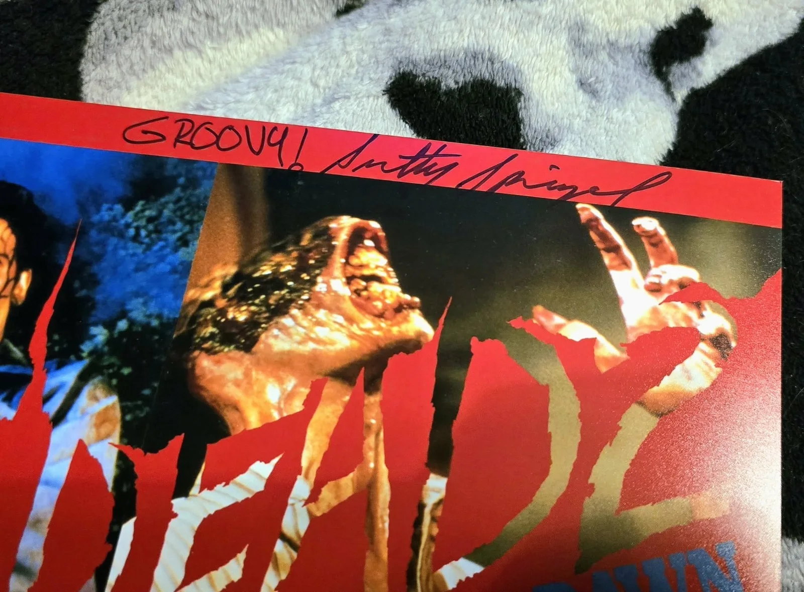 Scotty Spiegel signed autograph Evil Dead 2 photo 8x10 horror auto Groovy RARE, изображение 2