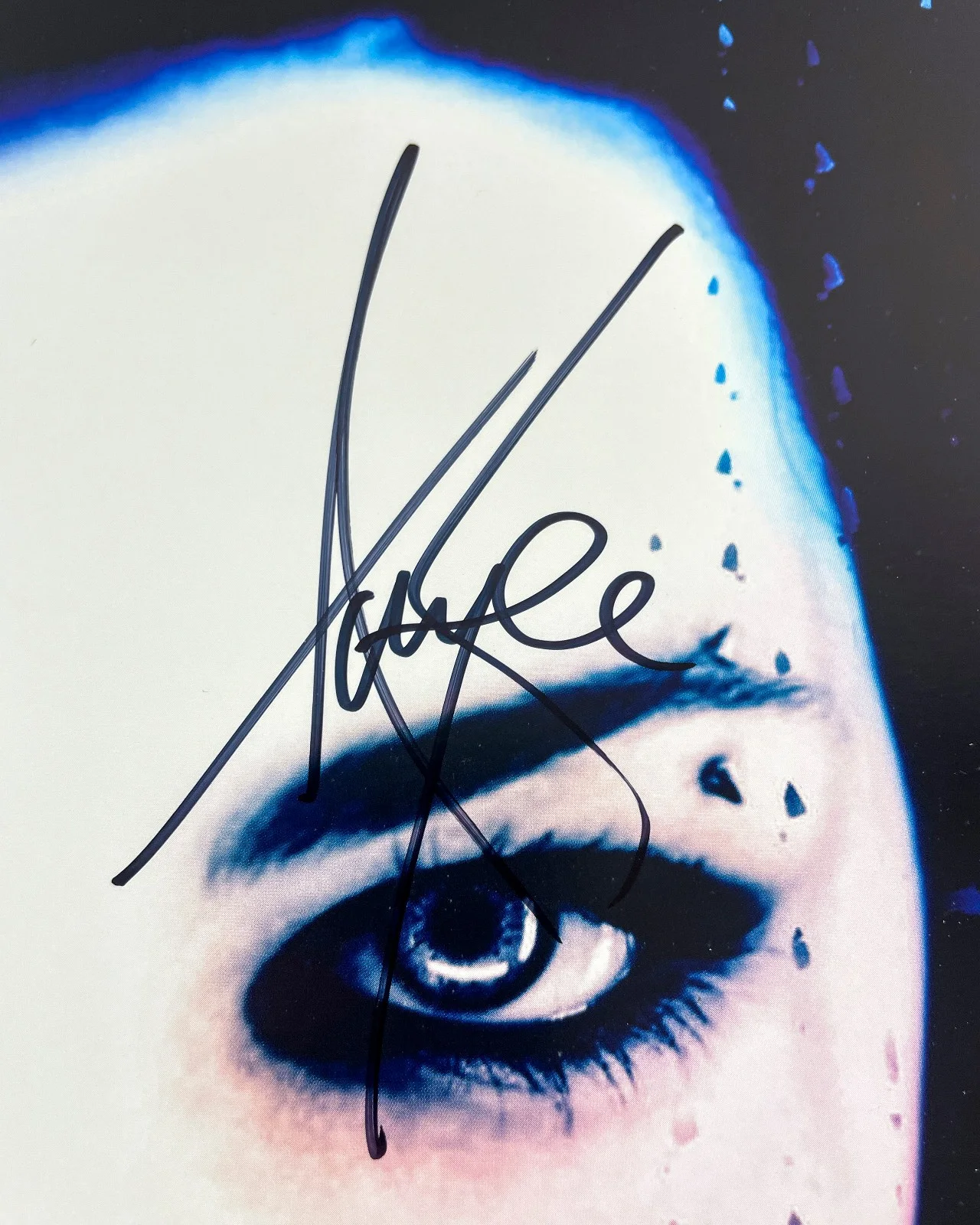 Amy Lee Signed Autographed EVANESCENCE FALLEN 11x17 Promo Poster JSA COA, изображение 3