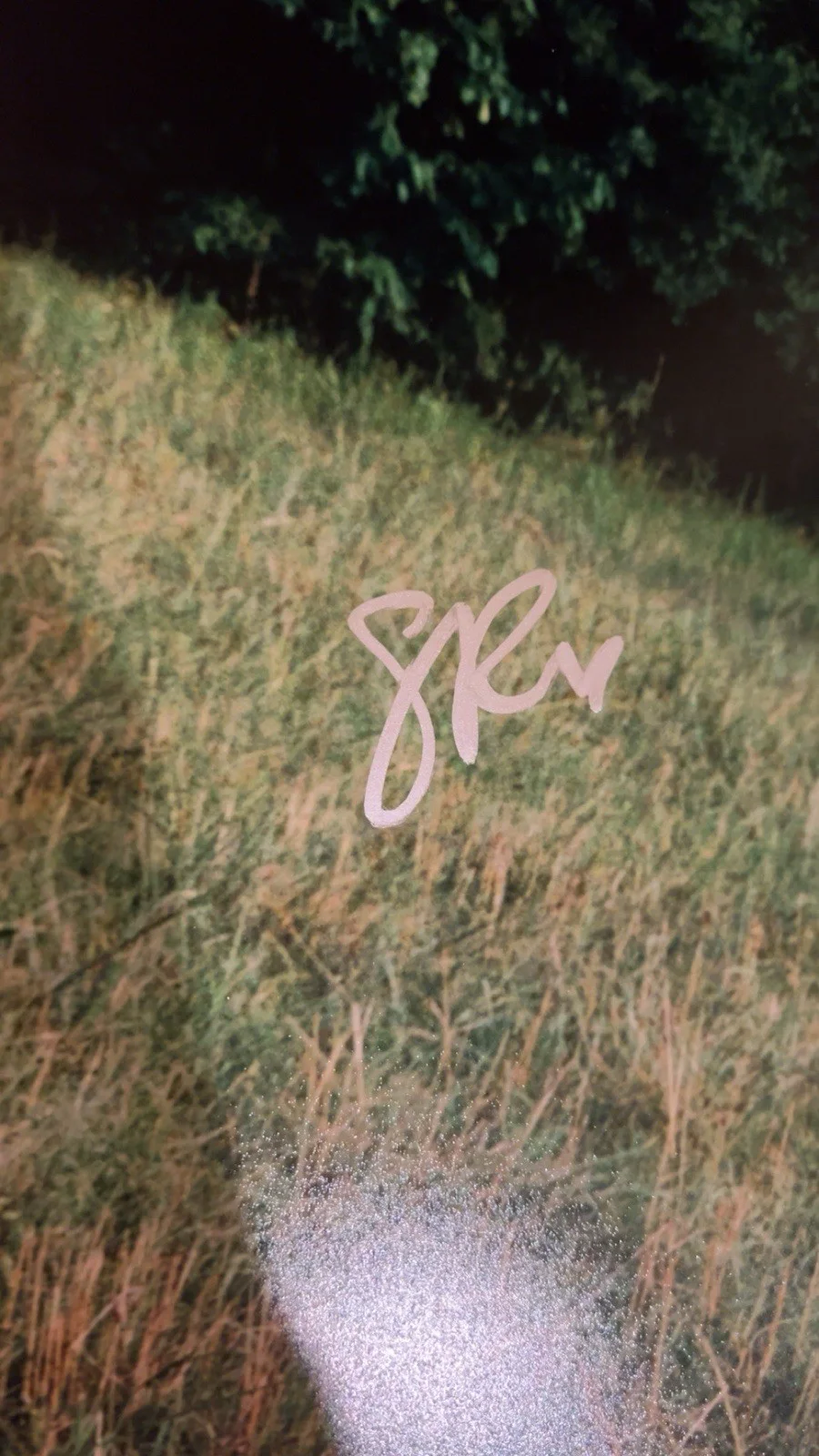 SYDNEY ROSE MUSIC SINGER SIGNED AUTOGRAPH 12x18 PHOTO I KNOW WHAT I WANT PROOF, изображение 2