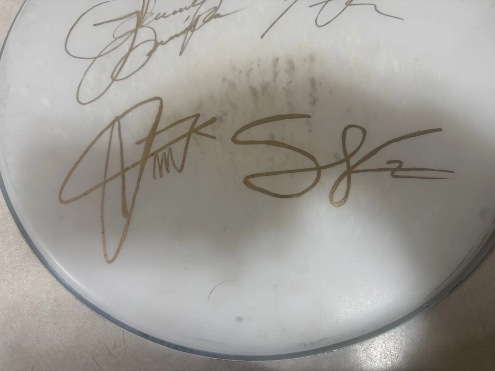 GRETA VAN FLEET Complete Band Signed 18' Remo Drum Head JSA Show Used Jake,Josh, изображение 4