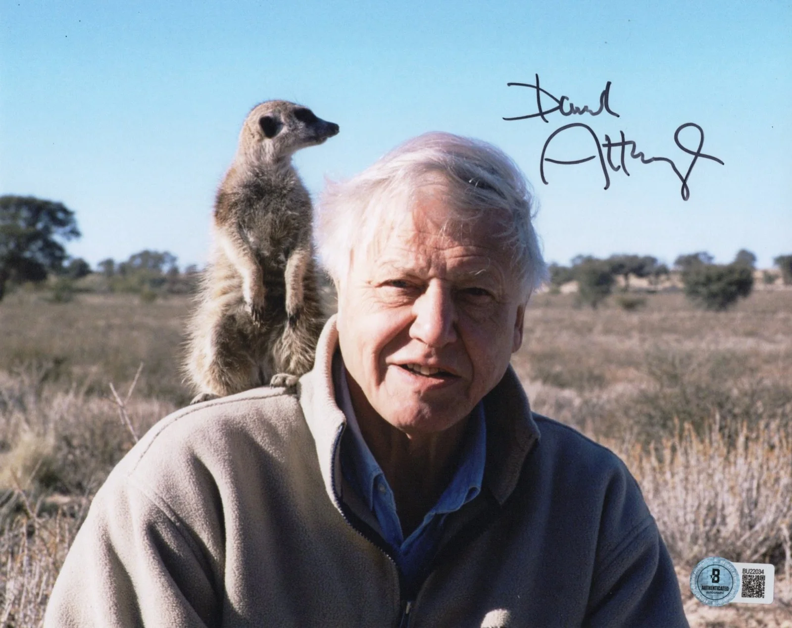 David Attenborough — Legendary David Attenborough Autograph Signed BBC TV Host 8x10 Photo Beckett COA