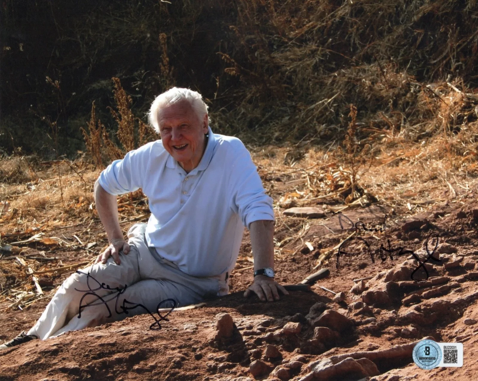 David Attenborough — Legendary David Attenborough Autograph Signed BBC TV Host 8x10 Photo Beckett COA