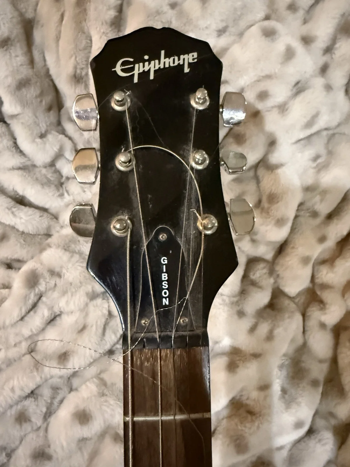 Vintage 38 Special Signed Guitar, image 3