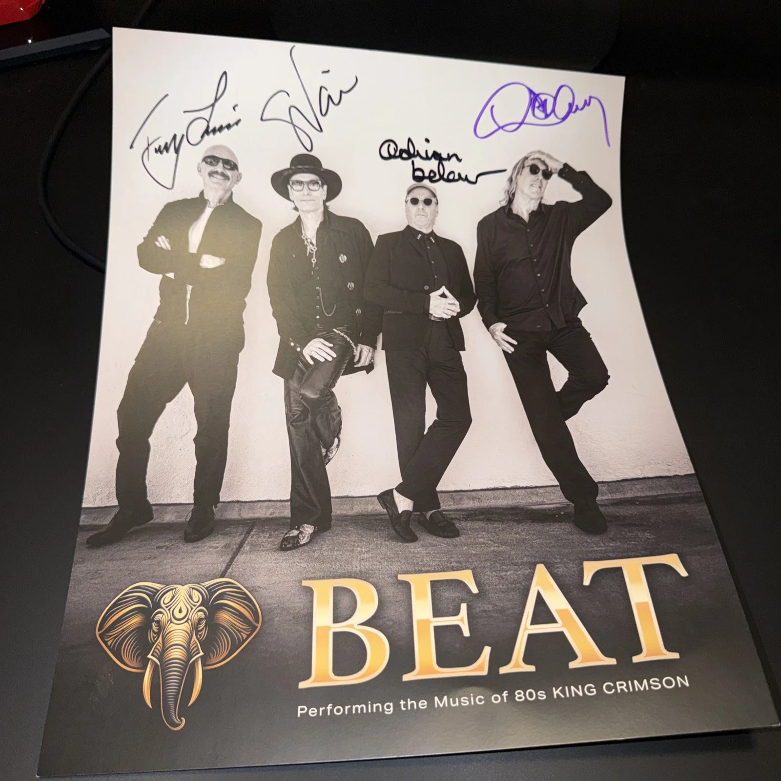 Beat Tour SIGNED Poster 2024 Danny Carey Steve Vai KING CRIMSON Tool VIP PACKAGE, изображение 2