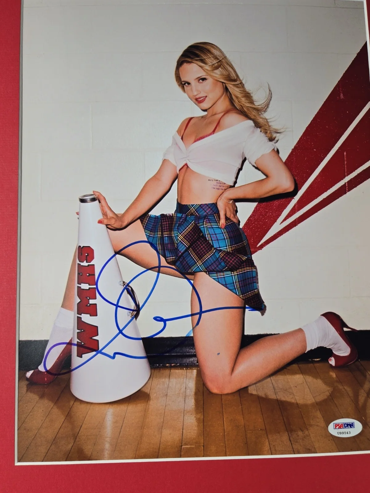 Dianna Agron Signed Photo Framed 16x20 PSA Glee Quinn, image 2