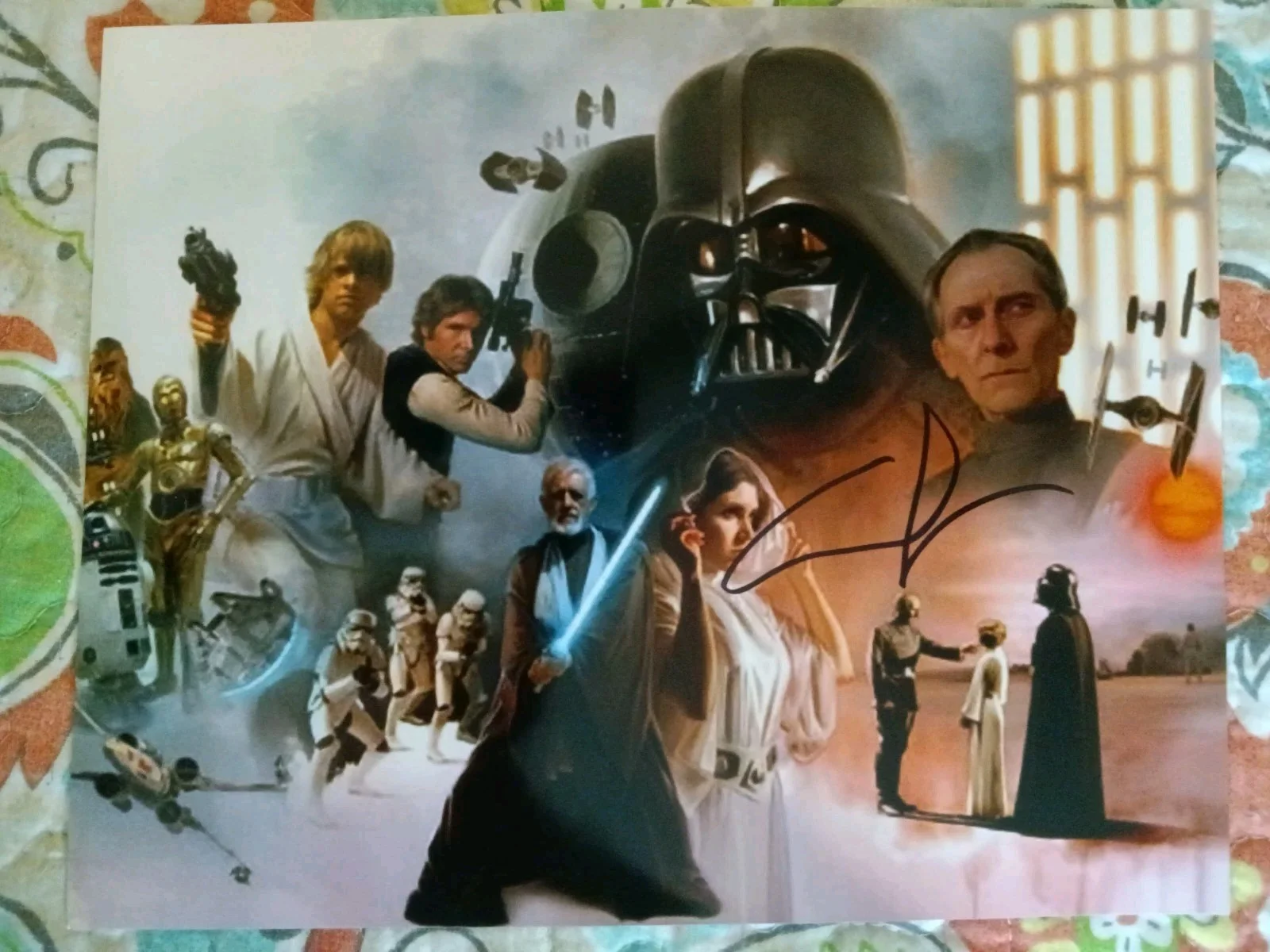 George Lucas — George Lucas Star Wars Signed 8x10 COA W/Matching Numbered Sticker