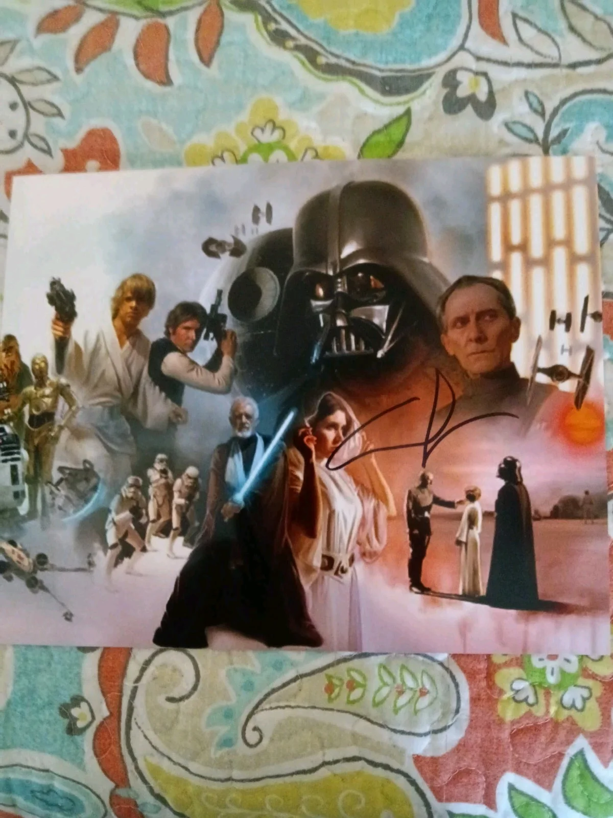 George Lucas — George Lucas Star Wars Signed 8x10 COA W/Matching Numbered Sticker, изображение 4