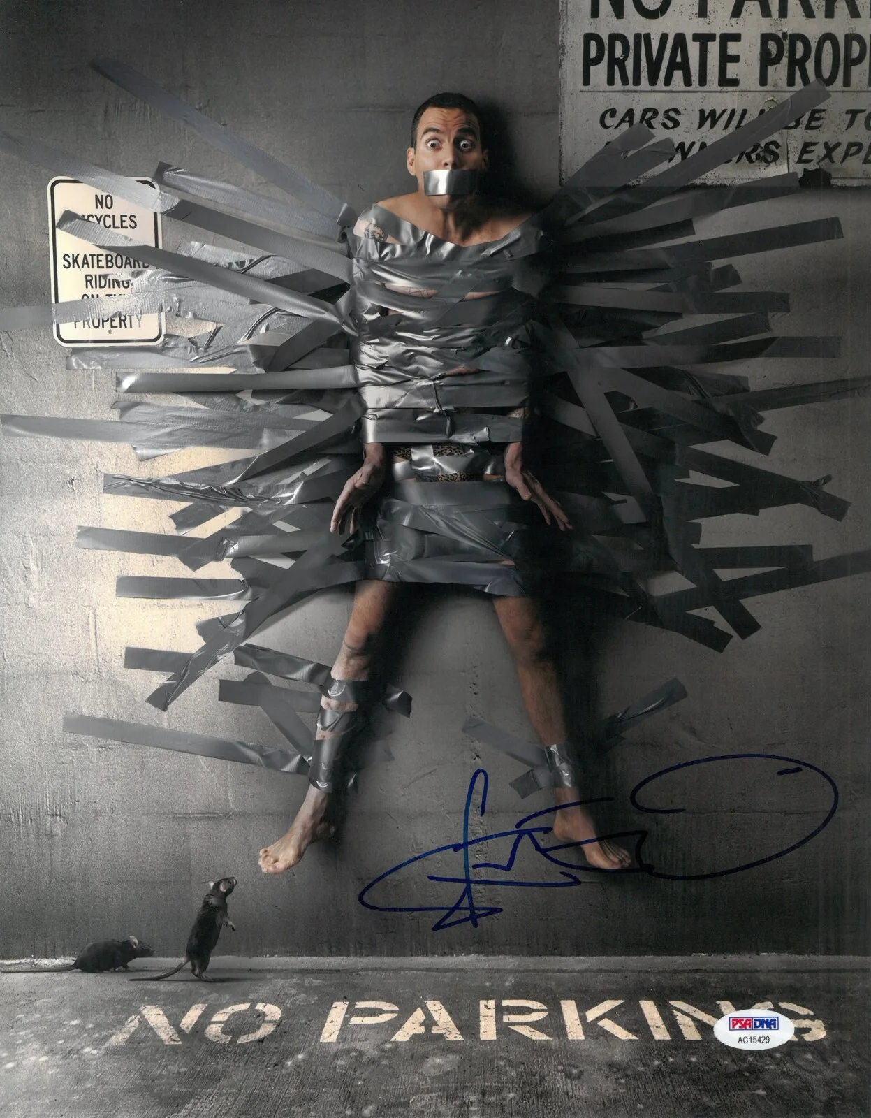Steve-O — Steve-O Glover PSA-DNA COA Signed 11x14 Photo Autographed Jackass Wildboyz
