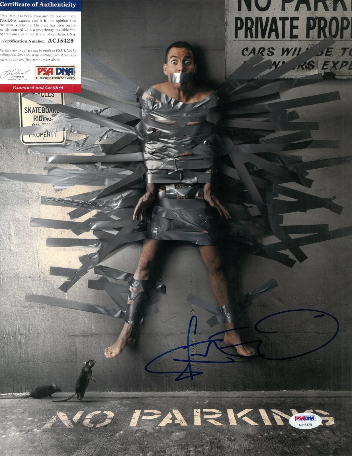 Steve-O — Steve-O Glover PSA-DNA COA Signed 11x14 Photo Autographed Jackass Wildboyz, image 2