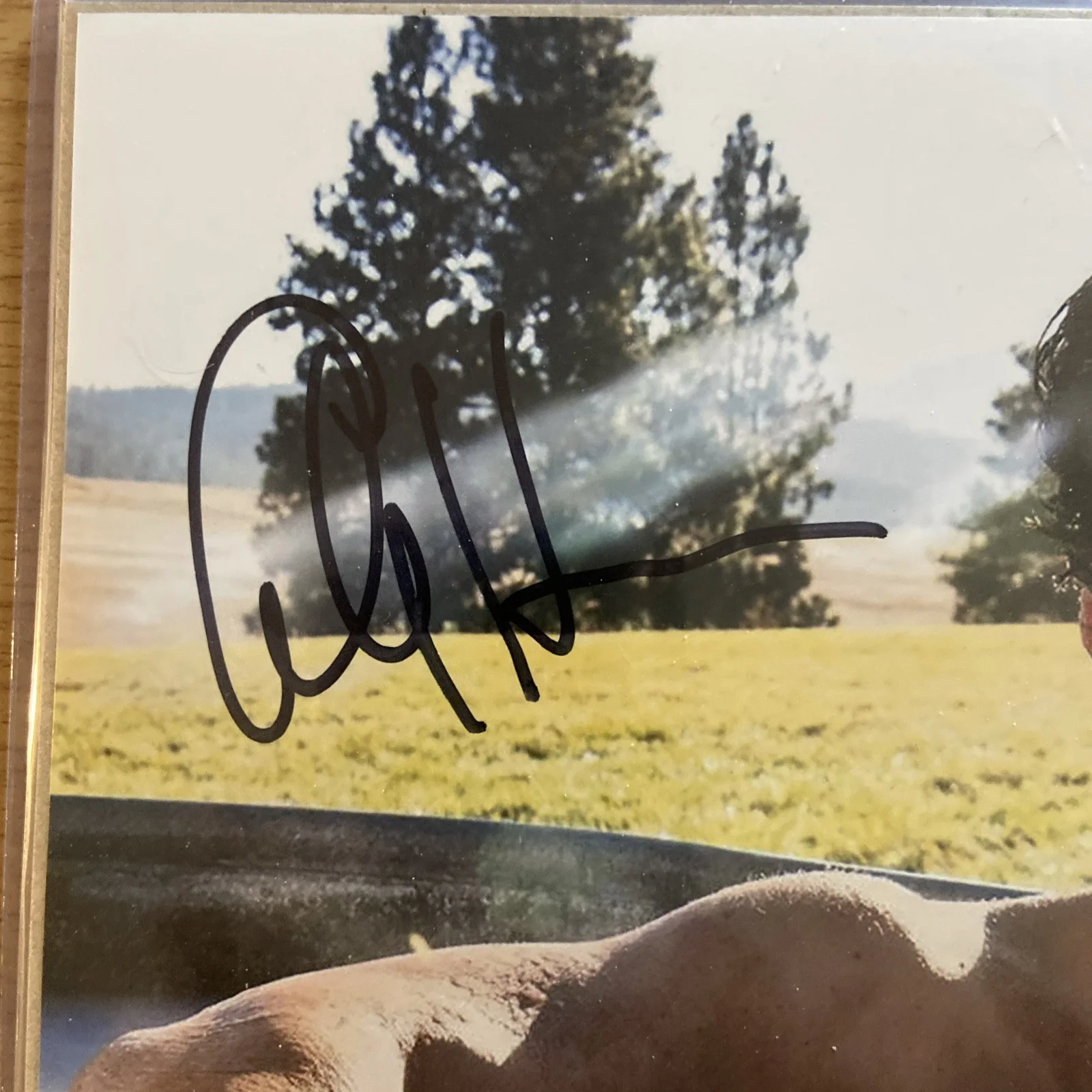 Cole Hauser Auto Yellowstone Rip Wheeler Signed 8x10 JSA, image 2