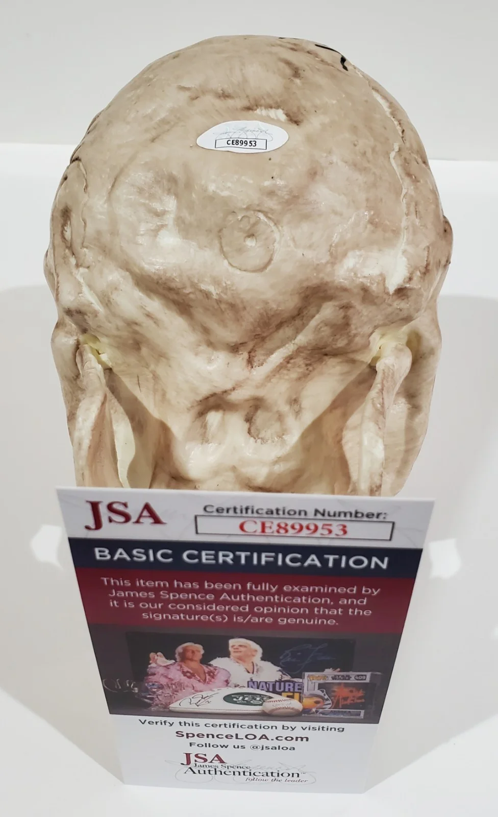 CANNIBAL CORPSE BAND SIGNED SKELETON SKULL PROP W/ JSA CERT CORPSEGRINDER, image 4
