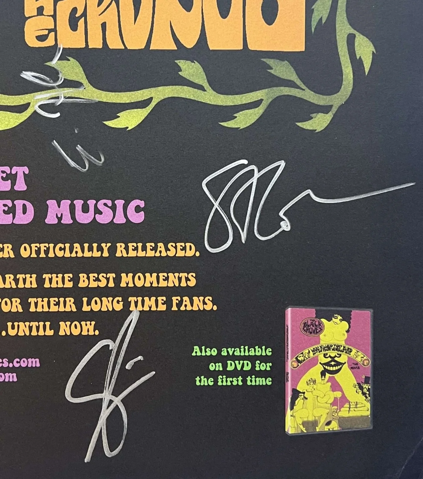 THE BLACK CROWES -FULL BAND SIGNED Lost Crowes PROMO POSTER Roger Epperson COA, изображение 3