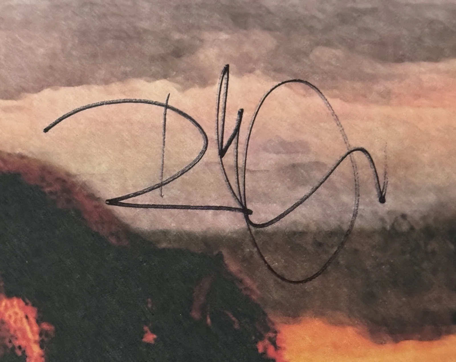 Robert Plant — ROBERT PLANT LED ZEPPLIN SIGNED SAVING GRACE VINYL LP COVER BECKETT BAS COA AUTO, изображение 3