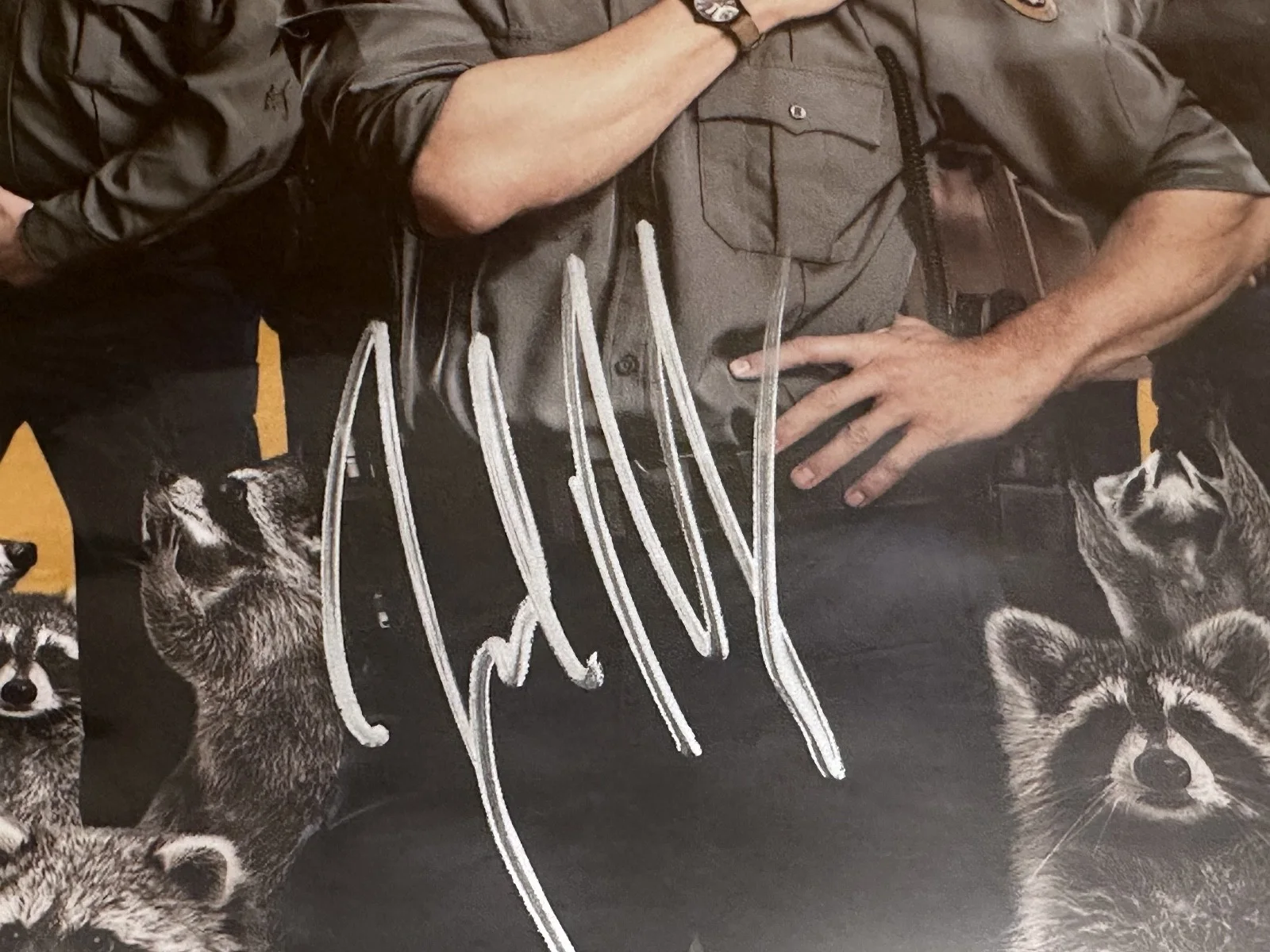 Joel McHale — JOEL MCHALE SIGNED PHOTO 8x10 "ANIMAL CONTROL" - AUTHENTICATED AUTOGRAPH!, image 2