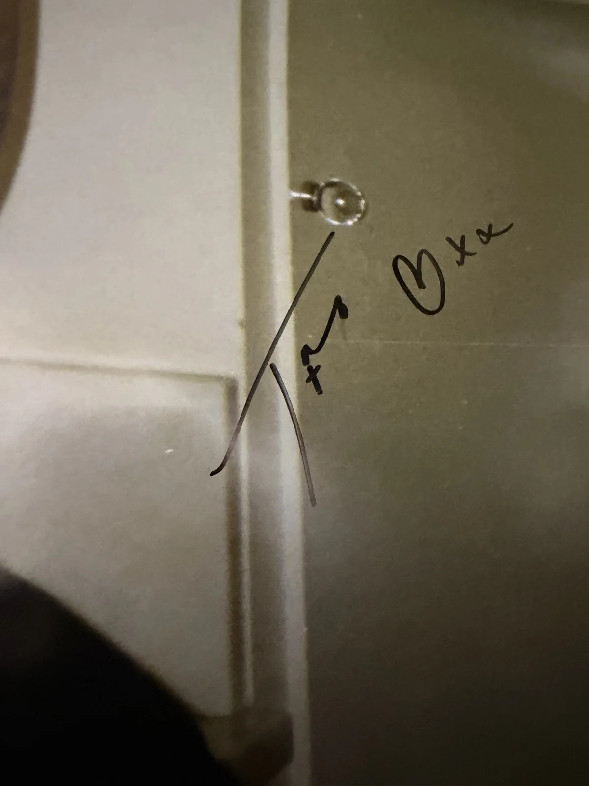 Tove Lo Hand Signed AUTOGRAPHED Sunshine Kitty Poster No Vinyl Or CD, изображение 3