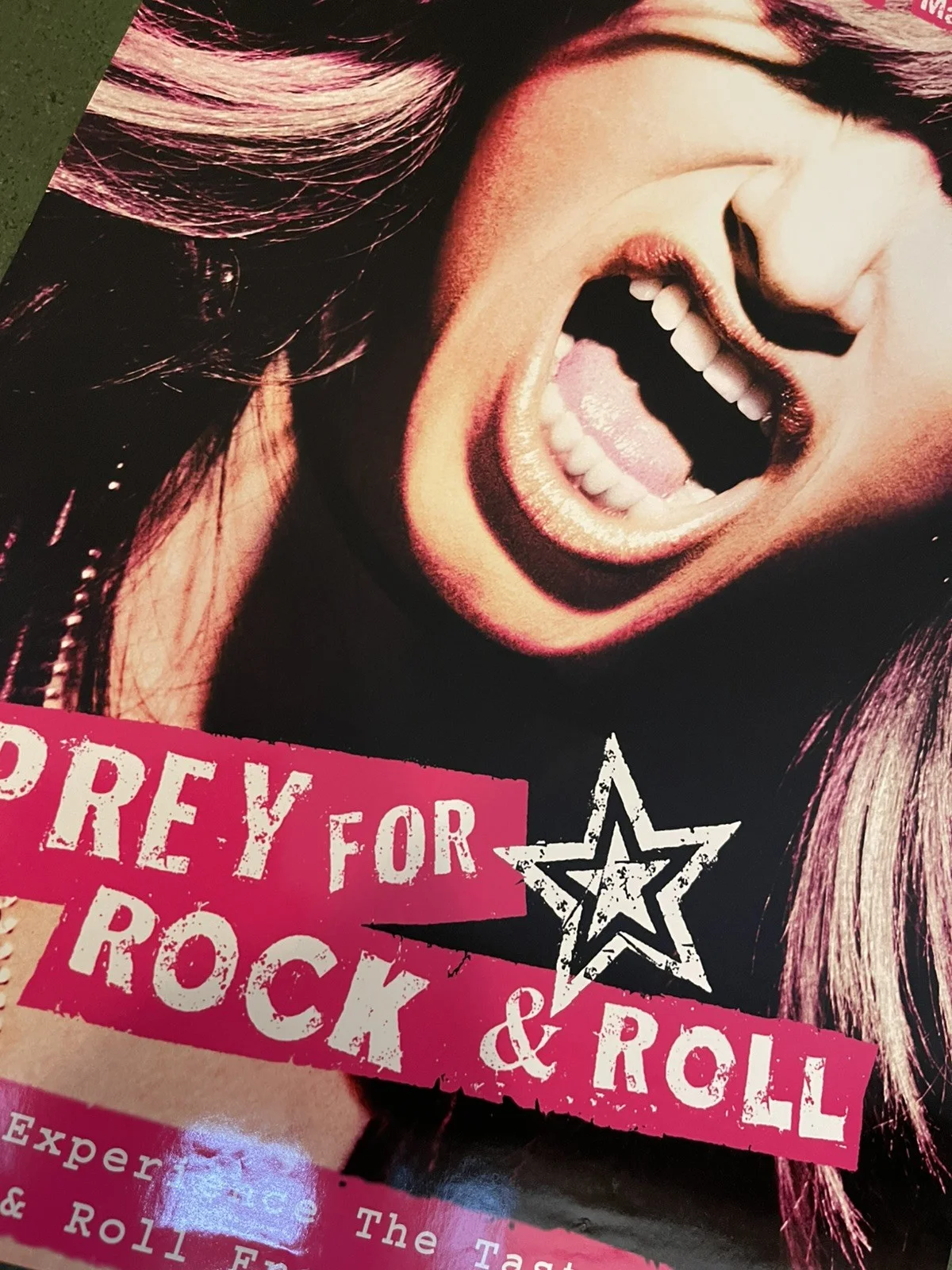 Pray for Rock and Roll 2003 Original Video Shop Promo Poster - A2 - GINA GERSHON, изображение 2
