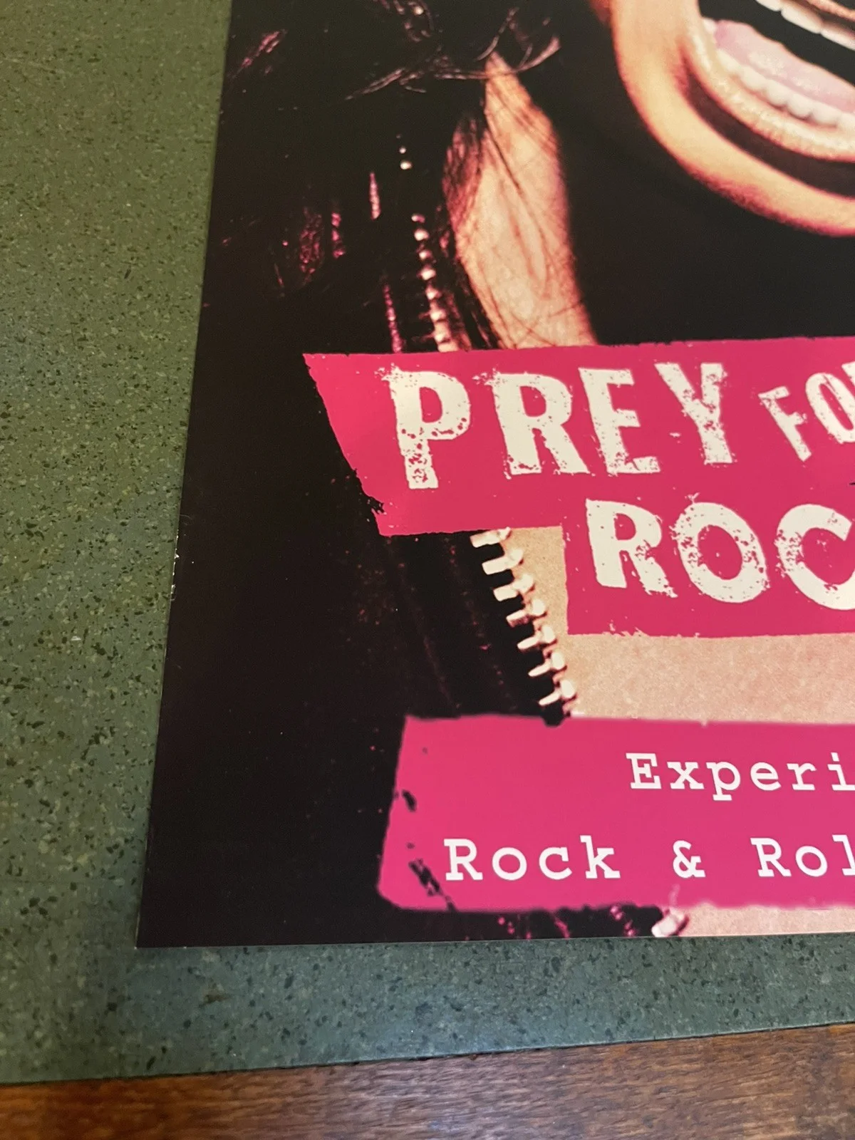 Pray for Rock and Roll 2003 Original Video Shop Promo Poster - A2 - GINA GERSHON, изображение 5