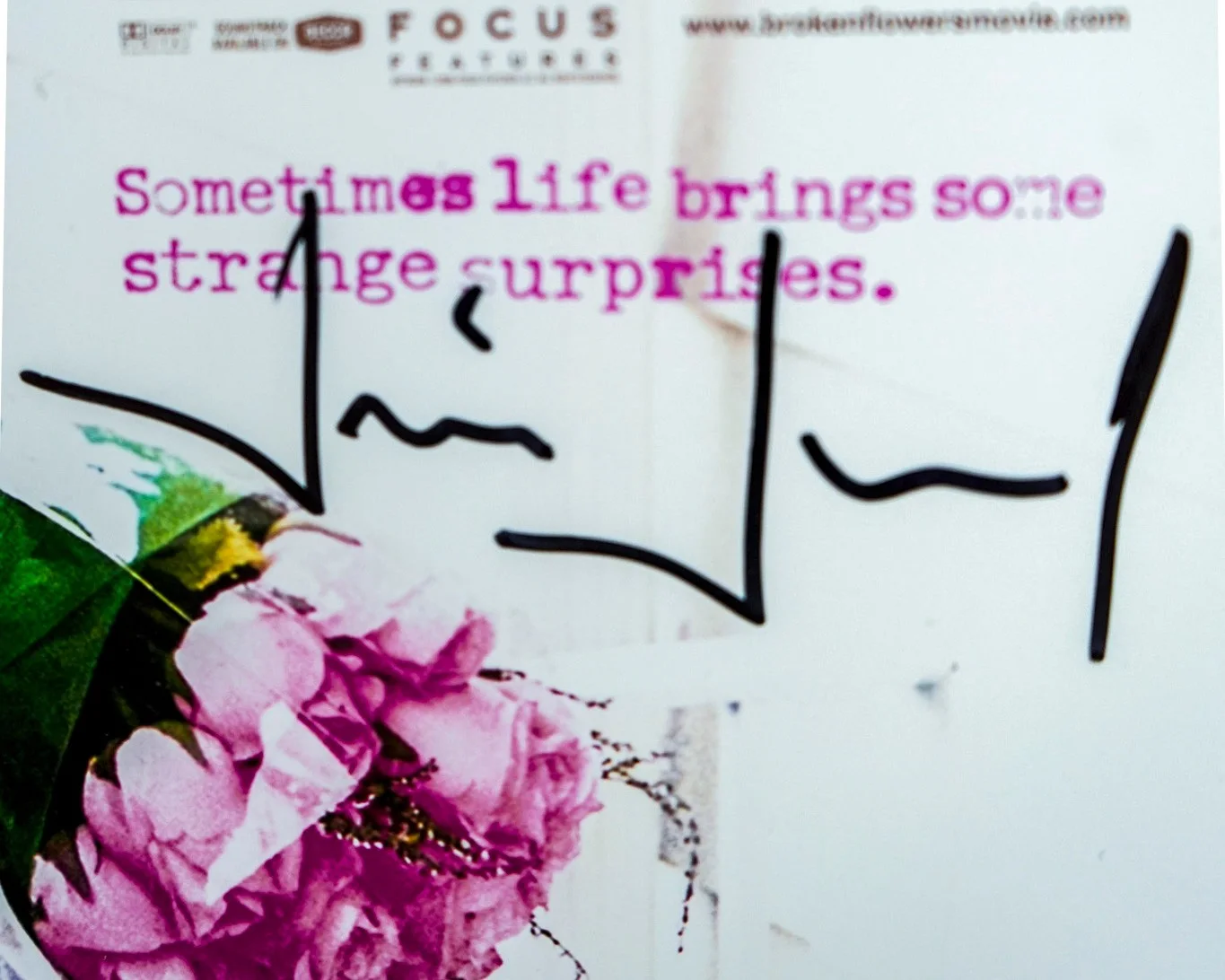 Jim Jarmusch — Jim Jarmusch Director Signed BROKEN FLOWERS 12x18 Photo w/ Bill Murray JSA, image 3