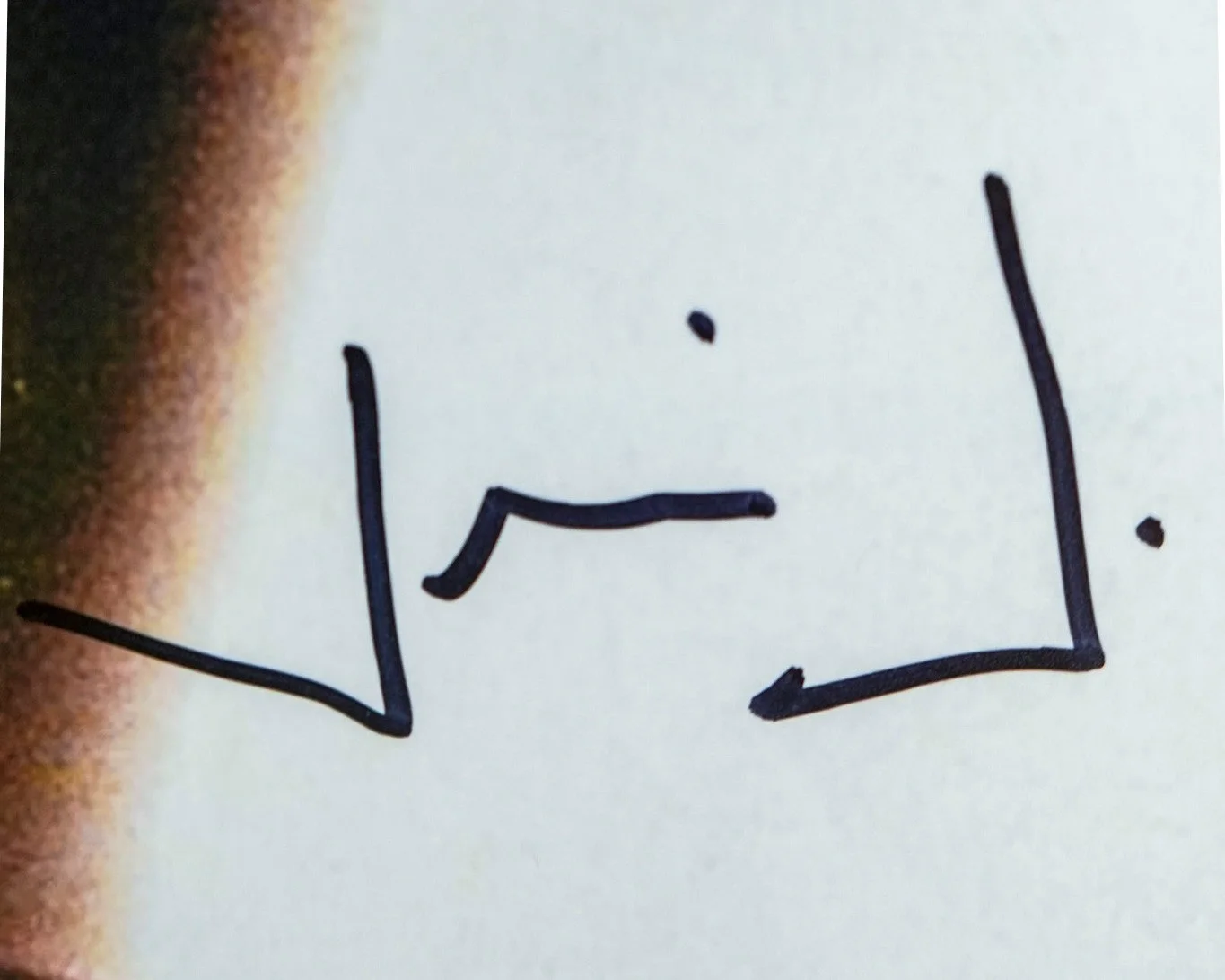 Jim Jarmusch — Jim Jarmusch Director Signed GHOST DOG 12x18 Photo Poster w/ Forest Whitaker JSA, image 2