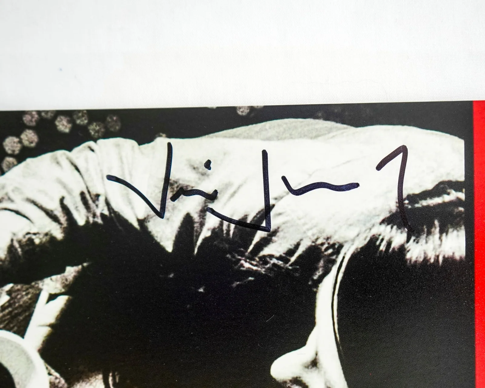 Jim Jarmusch — Jim Jarmusch Director Signed COFFEE AND CIGARETTES 12x18 Photo Poster JSA, изображение 2