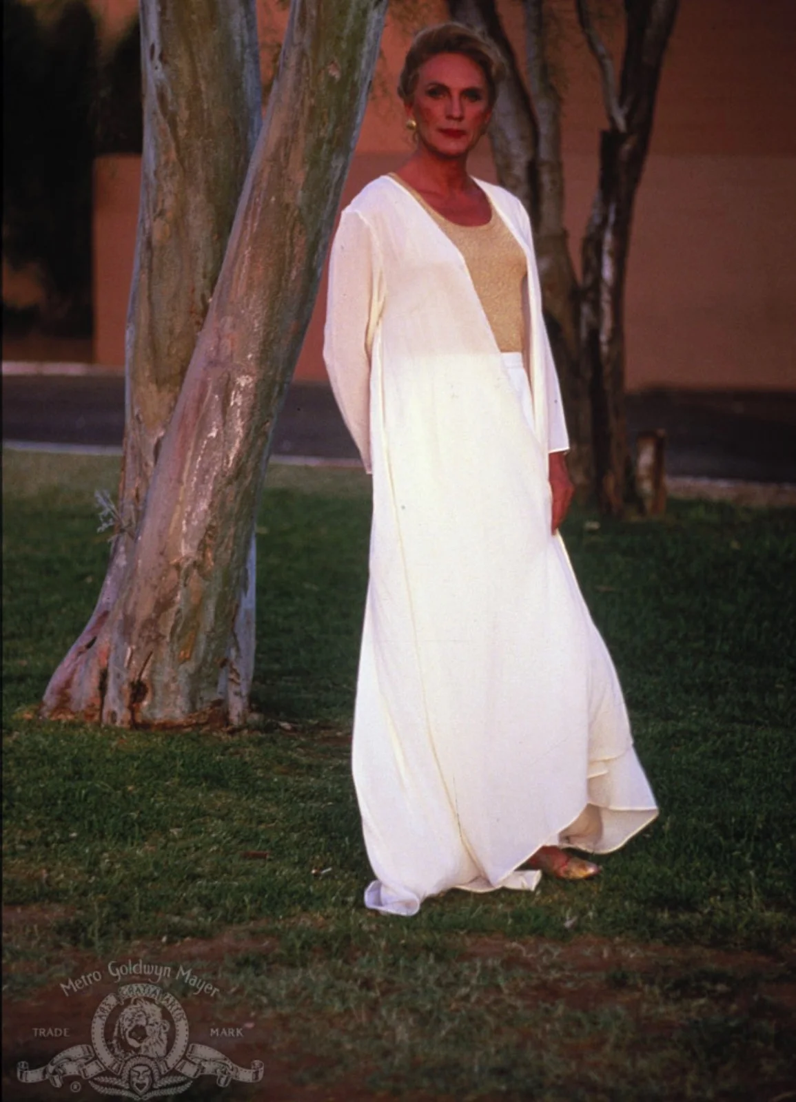 The Adventures Of Priscilla, Queen Of The Desert Unmounted 35mm Film Cells, изображение 5