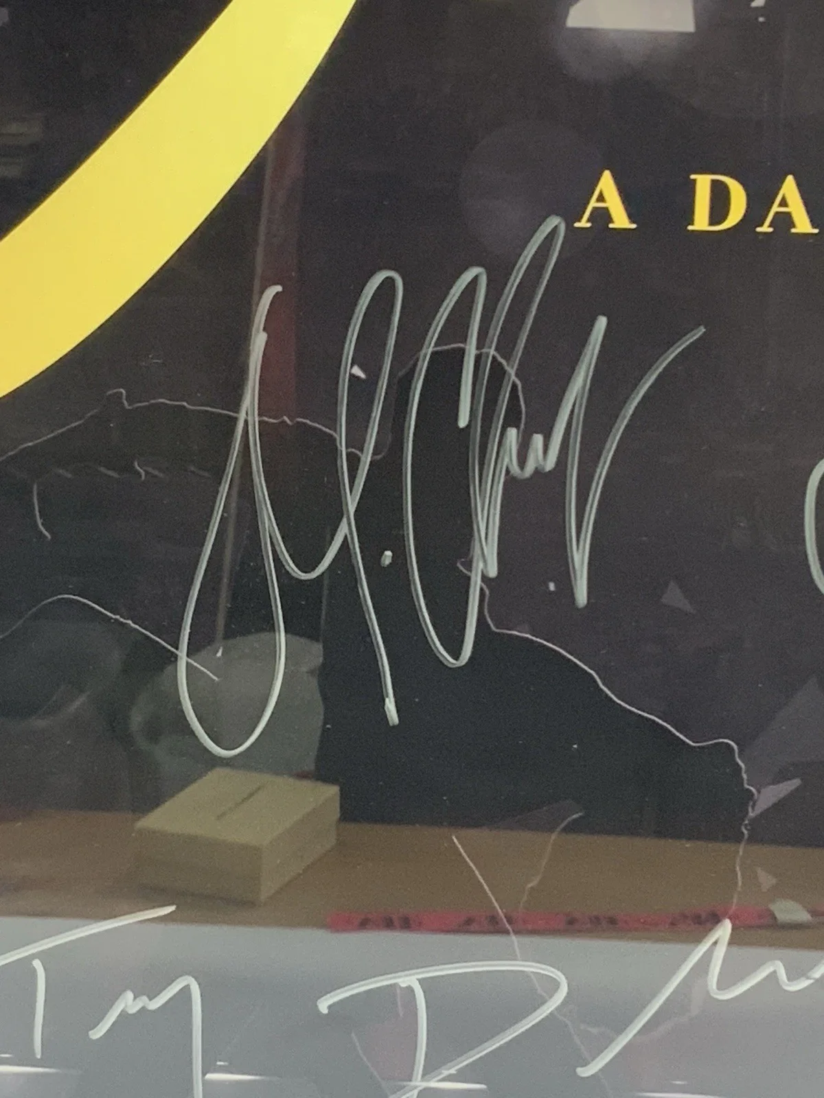 SWAY A Dance Trilogy Cast Signed Poster Elena Grinenko Framed 27x23 Dance, image 3