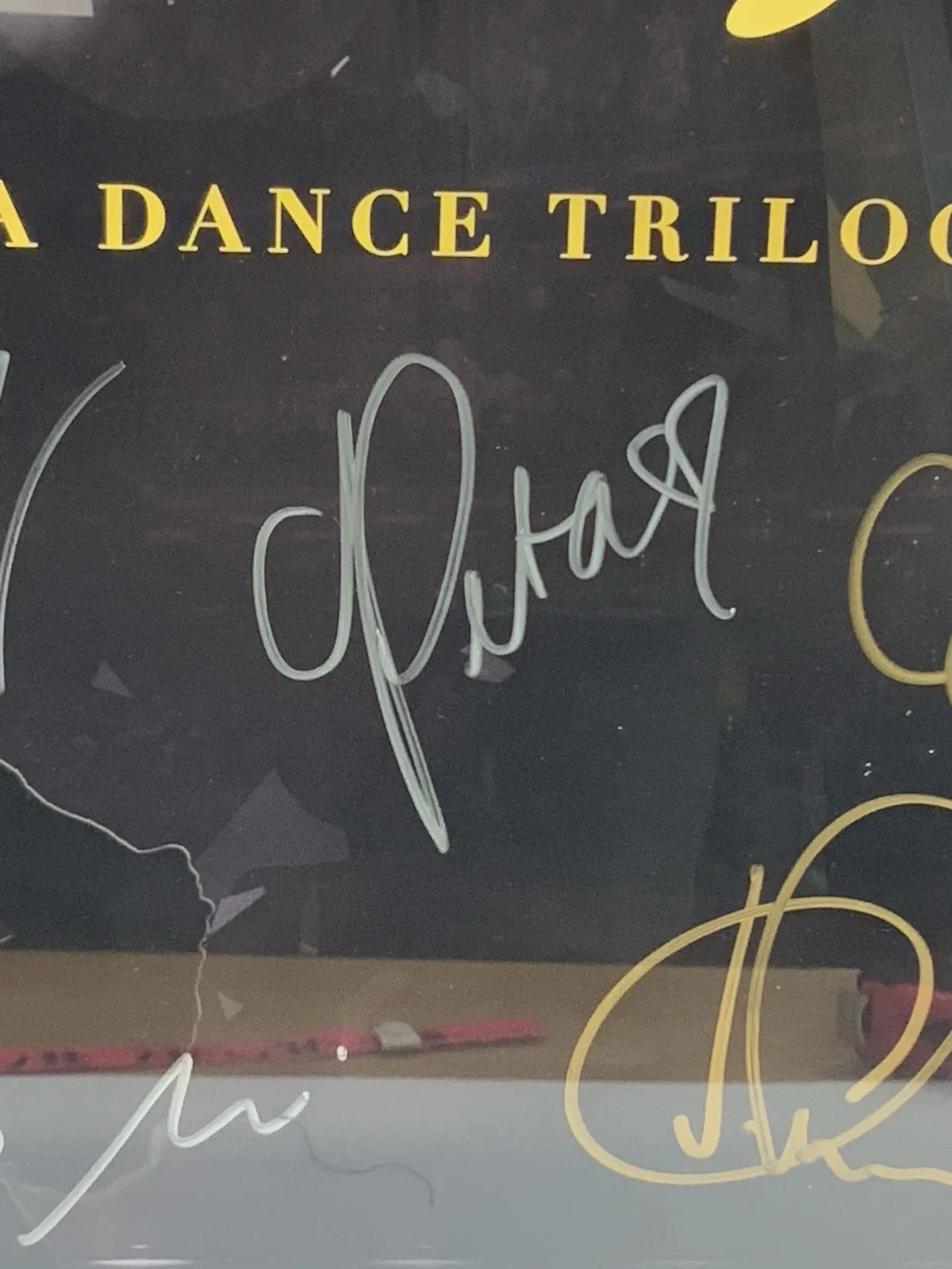 SWAY A Dance Trilogy Cast Signed Poster Elena Grinenko Framed 27x23 Dance, image 4