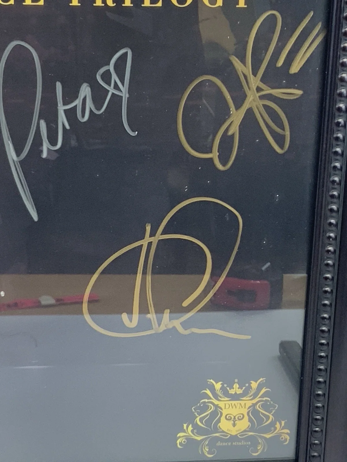 SWAY A Dance Trilogy Cast Signed Poster Elena Grinenko Framed 27x23 Dance, image 5