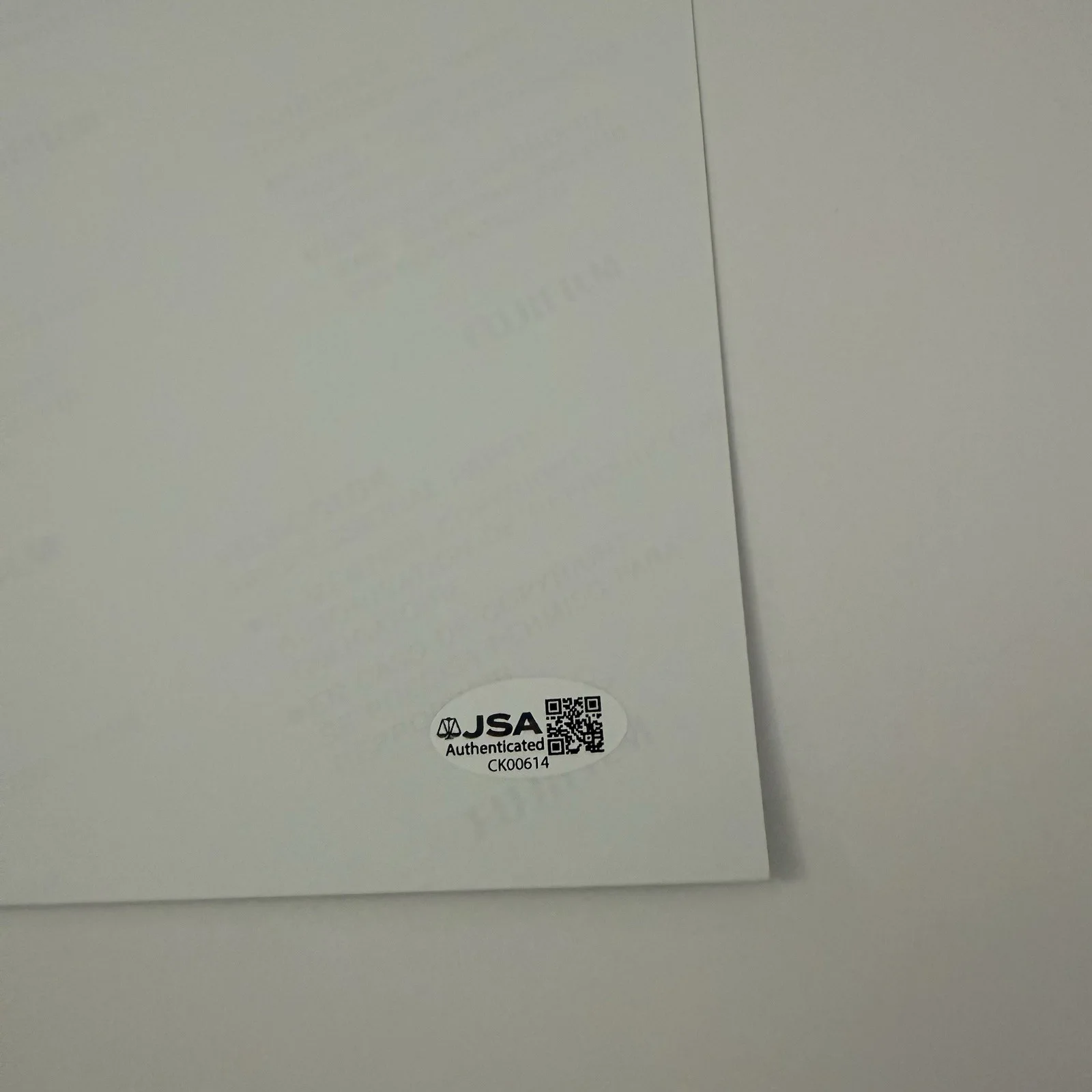 GUILLERMO DEL TORO SIGNED SCARY STORIES TO TELL IN THE DARK 12x18 PHOTO JSA COA, изображение 2