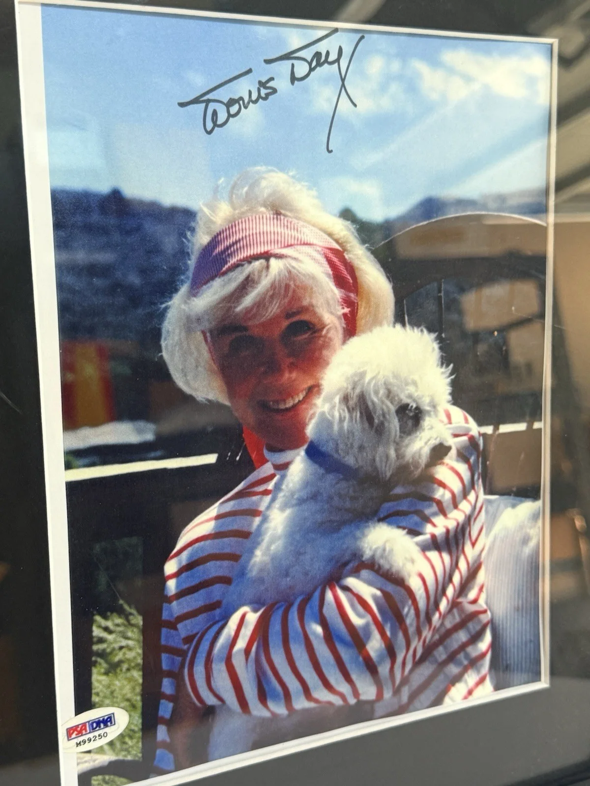 Doris Day — 2x Signed Framed Doris Day PSA DNA 8x10 Photos Autograph Vintage Authenticated, image 5