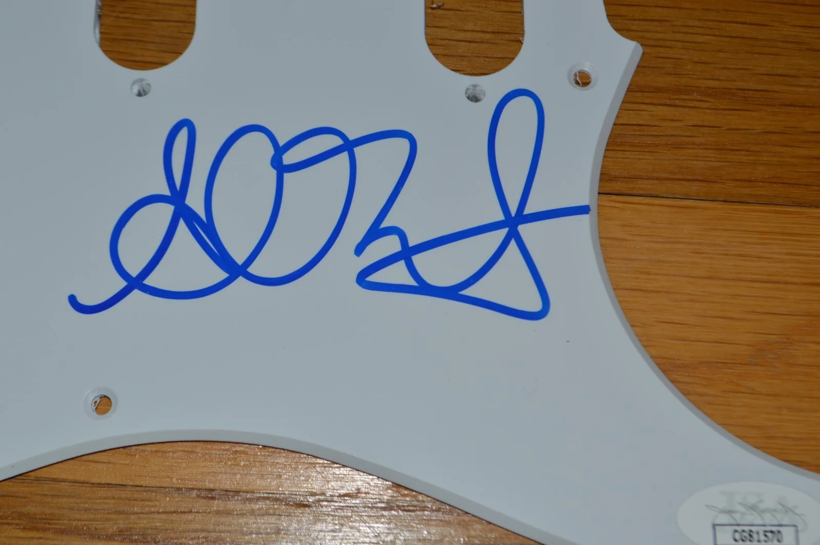 Alanis Morissette Autographed Electric Guitar Pickguard with JSA COA, изображение 3