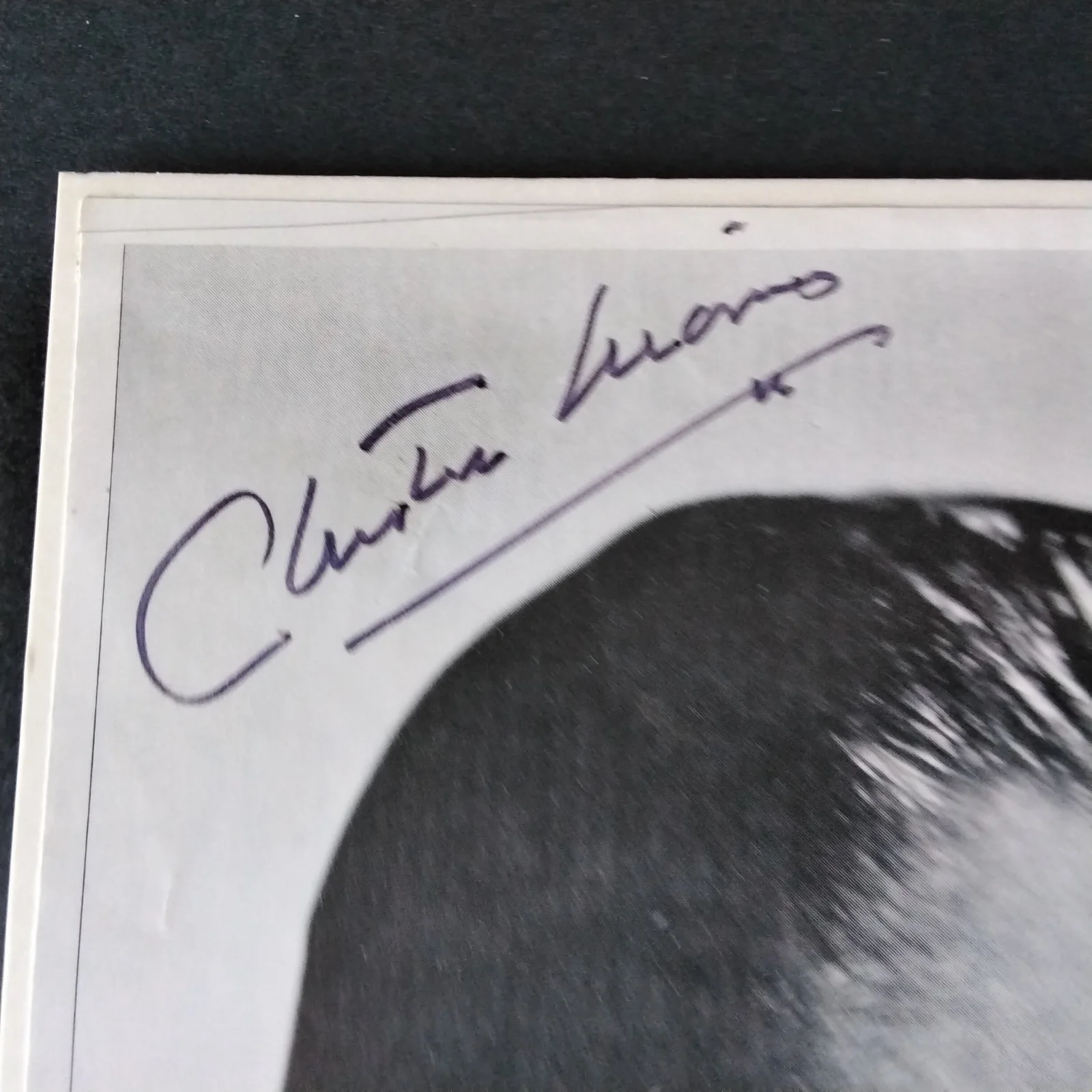 Chester Morris SIGNED Photo 40s Movie TV Actor Boston Blackie I Live For Danger, изображение 4